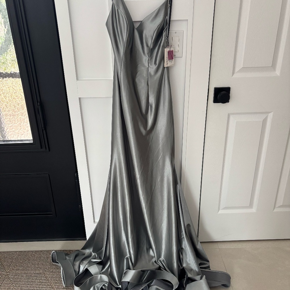 The Secret Dress by Alyce